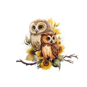 Eule PNG, Aquarell Eule mit Sonnenblumen und auf Zweig Sublimation, Sonnenblume Png, Schleiereule Clipart, Eule PNG Download, Eule PNG Sublimation