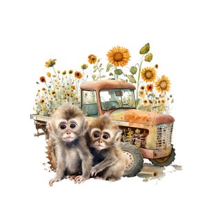 Imagem PNG de dois chimpanzés, clipart de trator vintage, girassol PNG, download digital PNG, clipart de macaco, sublimação de macaco, sublimação de zoológico.