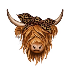 Op de afbeelding: Een bruine en witte Highland koe met lang, ruig haar, die een bruin en gouden luipaardprint bandana draagt. De koe kijkt recht naar de kijker.