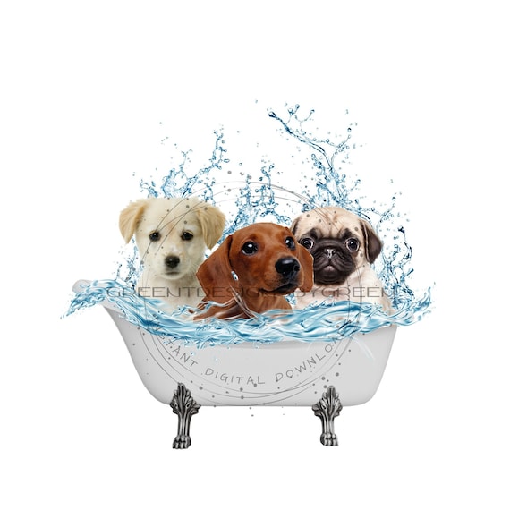 Pet bathtub for dogs hot sale