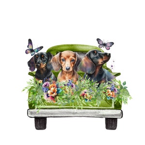 Dachshund PNG file, cute dachshund dog PNG sublimation, Vintage green truck and wildflower PNG, Puppy clipart, sublimation digital download.