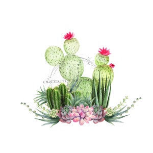 Rustic Cactus PNG, Desert Sublimation Clipart (Digital Download)
