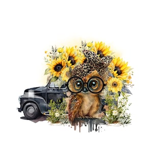 Imágenes Prediseñadas de búho caprichoso - Sublimación de camioneta negra rústica PNG Lechuza común con girasoles PNG Clipart- Descarga digital