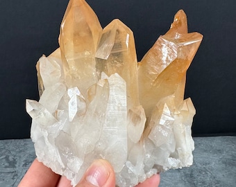 Puede incluir: Un grupo de cristales de cuarzo, con puntas claras y de color ámbar. Los cristales se sostienen en una mano, mostrando su formación natural y tamaños variables. El fondo es gris oscuro.