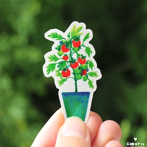 Mangeons des tomates ! Sticker vinyle mat autocollant