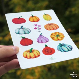 Courges, illustration fleurie, poétique et colorée, décoration, potager