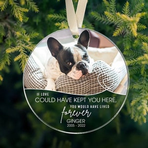 Personalized Dog Memorial Ornament With Photo, Pet Memorial Gifts, Pet Memorial, Dog Loss Keepsake, Dog Memorial Gifts, Christmas Decor