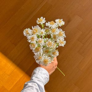 Modèle de marguerite perlée française – PDF numérique + tutoriel vidéo étape par étape