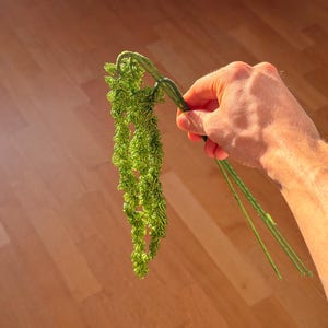 Könnte beinhalten: Ein Zweig aus hellgrünem Kunstblattwerk mit kaskadenartigem, strukturiertem Aussehen. Die Pflanze wird vor einer hellbraunen Holzoberfläche gehalten, wobei das Sonnenlicht die Details der Blätter und Stiele hervorhebt.