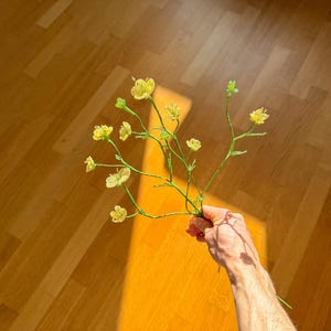 Könnte beinhalten: Eine Hand hält einen zarten Strauß gelber Blumen mit grünen Stielen. Die Blumen sind in voller Blüte, mit mehreren Blütenblättern. Der Hintergrund ist ein Holzboden mit einem warmen, goldenen Farbton, und das Sonnenlicht wirft einen Schatten.