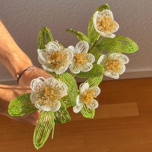 Könnte beinhalten: Handgefertigtes, perlenbesetztes Blumenarrangement mit weißen Blüten, goldenen Zentren und grünen Blättern. Die Perlenblumen werden in einer Hand gehalten. Ein einzigartiger Dekorationsartikel.