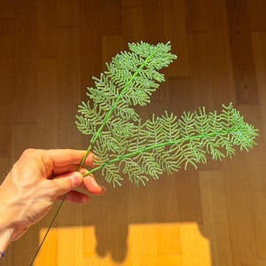 Könnte beinhalten: Ein handgefertigter, mit Perlen besetzter Farnwedel in Grüntönen. Der Farn besteht aus kleinen, runden Perlen, die aneinandergereiht sind, um die natürliche Form eines Farns nachzuahmen. Der Stiel ist ein dünner, grüner Draht. Der Farn wird vor einem Holzgrund gehalten.
