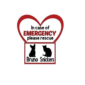 Pet Emergency Decal, Pet Emergency Sticker, In Case of Emergency, Pet Rescue