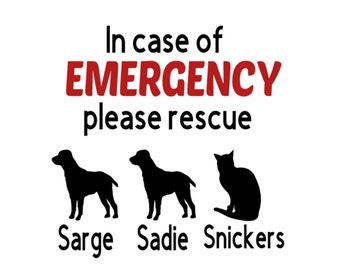 117 In Case of Emergency Rescue My Chihuahua Die Cut Vinyl Sticker dog safety