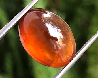 May include: A close-up of a smooth, oval-shaped, orange gemstone with a slight reddish hue. The gemstone is held in a pair of tweezers.