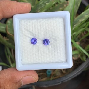 K&ouml;nnte beinhalten: Zwei kleine, runde, violette Edelsteine in einer wei&szlig;en quadratischen Schachtel. Die Edelsteine sind in einer klaren, runden Fassung gefasst.