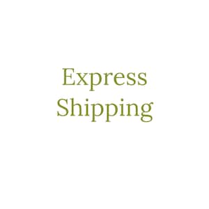 Express Shipping