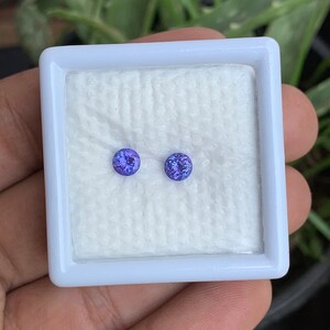 K&ouml;nnte beinhalten: Zwei kleine, runde, violette Edelsteine in einem wei&szlig;en, quadratischen Plastikbeh&auml;lter.