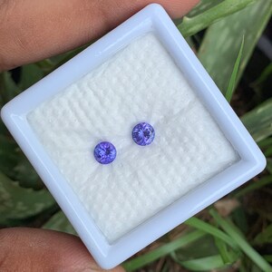 K&ouml;nnte beinhalten: Zwei runde, violette Edelsteine in einer wei&szlig;en, quadratischen Schachtel. Die Edelsteine haben einen Durchmesser von etwa 5 mm.