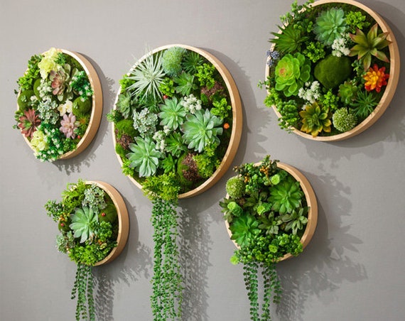 Succulent wall art