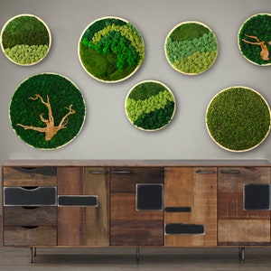 Wooden Framed Moss Art, Hanging Garden, Preserved Moss No Maintenance, Natural, Wall Decor for HOME