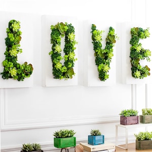 Artificial Plant Succulent Wall Art | Succulent Wall Art | Plant Wall | Wall Decoration | Living Wall | Handmade wood Frame (Made to Order)