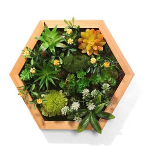 Succulent Wall Art | Plant Wall | Wall Decoration | Handmade wood Frame (Made to Order)