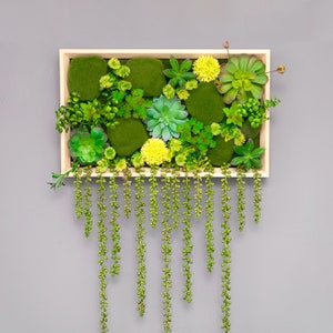 Kunstpflanze Sukkulenten Wandkunst | Sukkulenten Wandkunst | Pflanzenwand