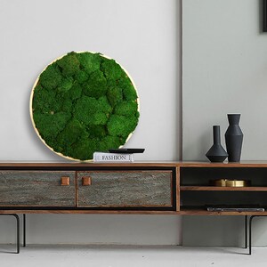 Moss Round Wall Art, Botanical Greenery Home Decor, Natural Plant Frame, Preserved Moss Framed, Indoor Wood Wall Hanging