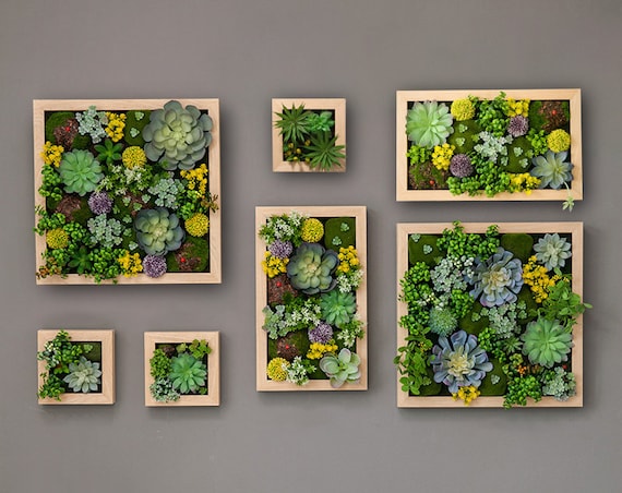 Faux Plant Succulent Wall, Faux Greenery Foliage With Stem, Fake Succulents,  Decor Living Wall Art 