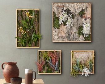 Preserved Moss Wall Art - Nature Room Decor ,Modern Wall Art - Wooden frame Botanical Art