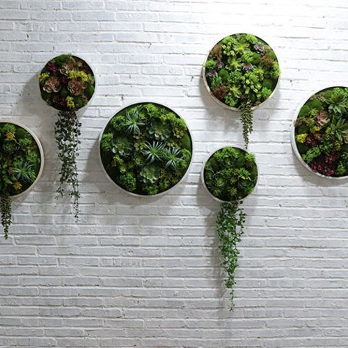 Artificial Plant Succulent Wall Art Plant Wall Wall Etsy
