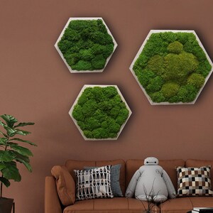 Moss Wall Art - Moss Wall Decor -Vertical garden,  Preserved Moss Art, Moss Decoration, Interior Green Wall