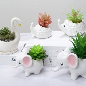 May include: Five white ceramic planters shaped like a swan, elephant, and two different styles of clouds. Each planter has a small succulent plant growing inside.