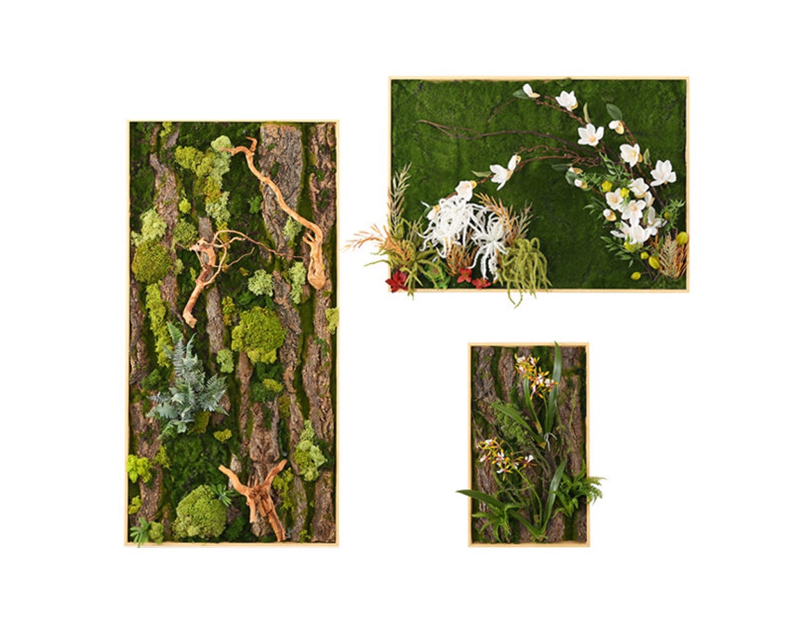 Preserved Moss Wall Decor Green Wall Art eco Friendly Decor Etsy