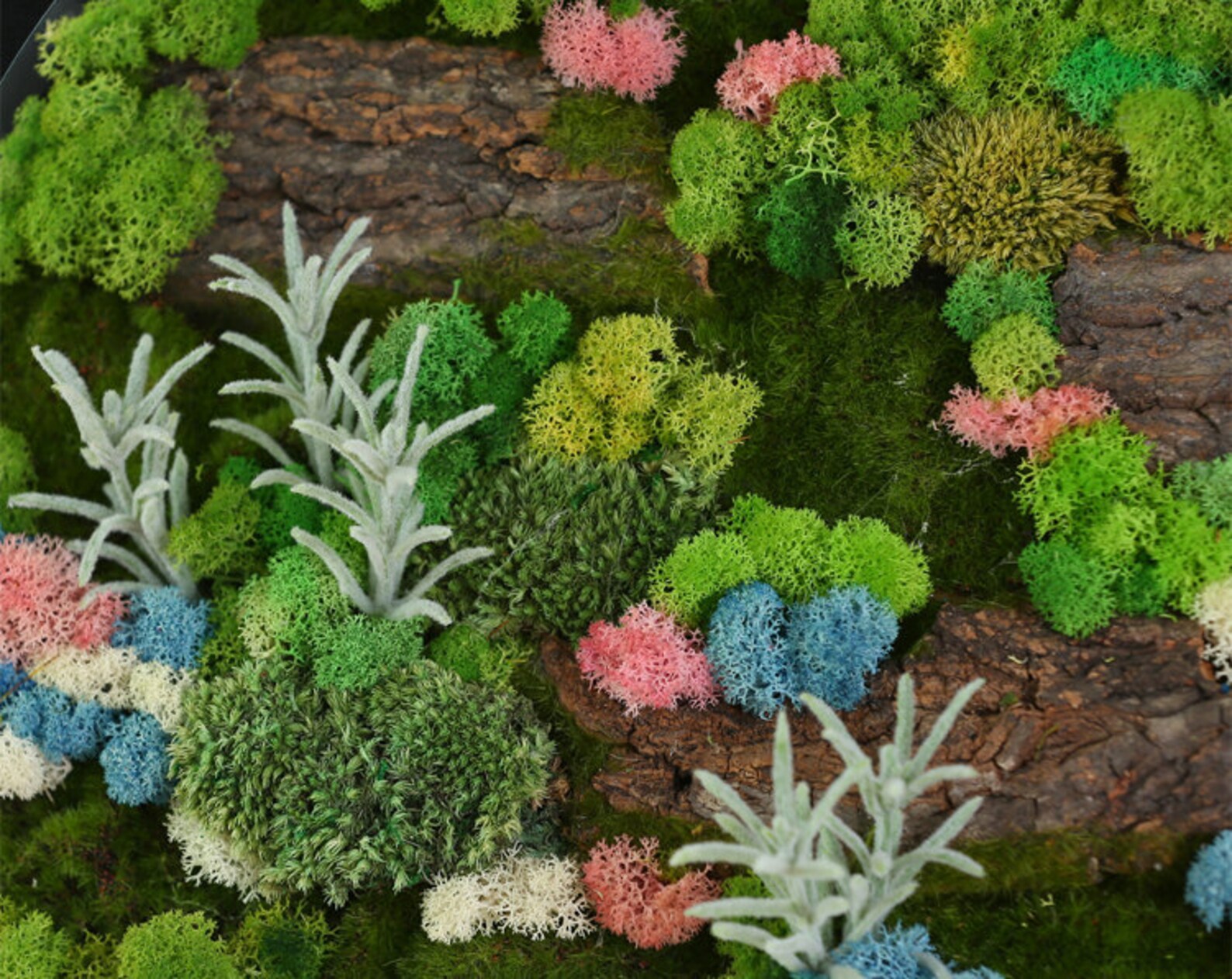 Moss Wall Art Moss Wall Decor vertical Garden Round Moss Etsy UK