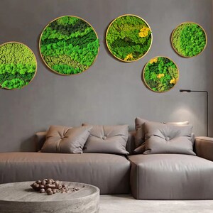 Interior Green Wall - Metal Framed Moss Art, Hanging Garden, Preserved Moss No Maintenance, Wall Decor for HOME
