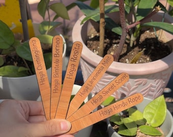 Customized Wooden Plant Label, Laser Engraved Plant Tag, Engraved Houseplant Label, Houseplant Gifts