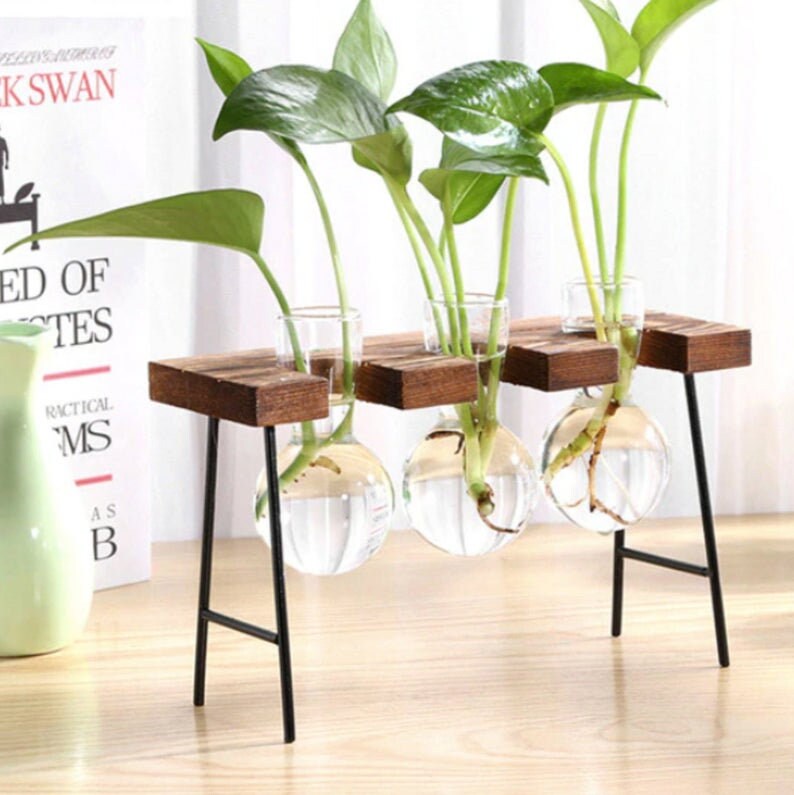 Propagation Station Desktop Propagation Glass Plant Stand Etsy