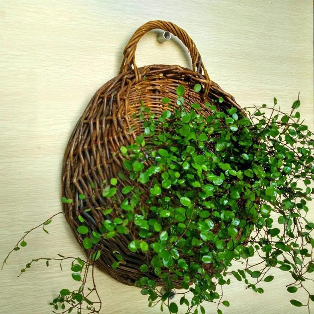 WallMounted Wicker Flower Basket Handmade Rattan Flower Etsy