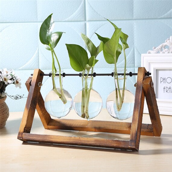 Dark Wood Propagation Plant Stand Glass Vase Water Plant Etsy