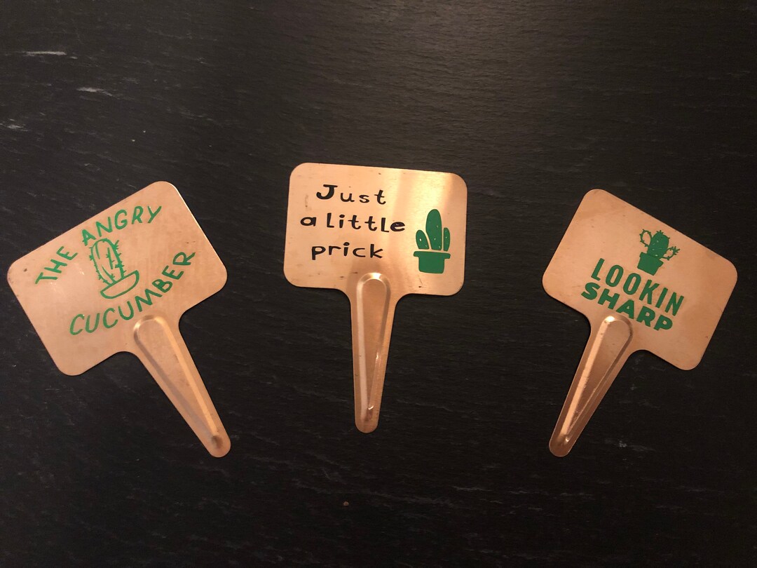 Set of 3 Copper Cactus Plant Markers Cacti Labels Etsy