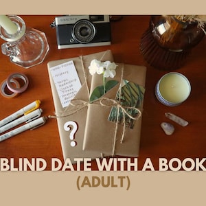 Blind Date with a Book | Mystery Adult Fiction Gift