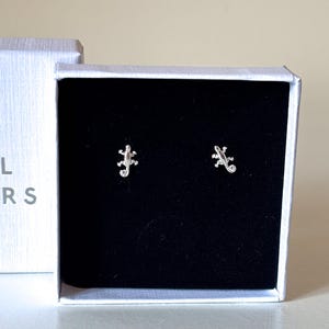 May include: A pair of silver lizard stud earrings in a black velvet jewelry box.