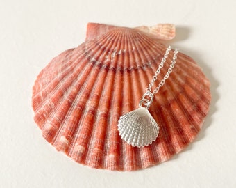 Sterling Silver Cockle Sea Shell Pendant Necklace, Seashell Pendant Necklace, Dainty Silver Necklace