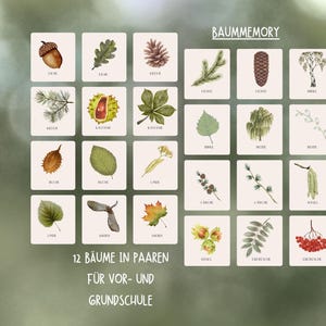 Baum Memory/ Naturpädagogik/ Artenkenntnis/ Naturwissen/ Gedächtnistraining/Forest School