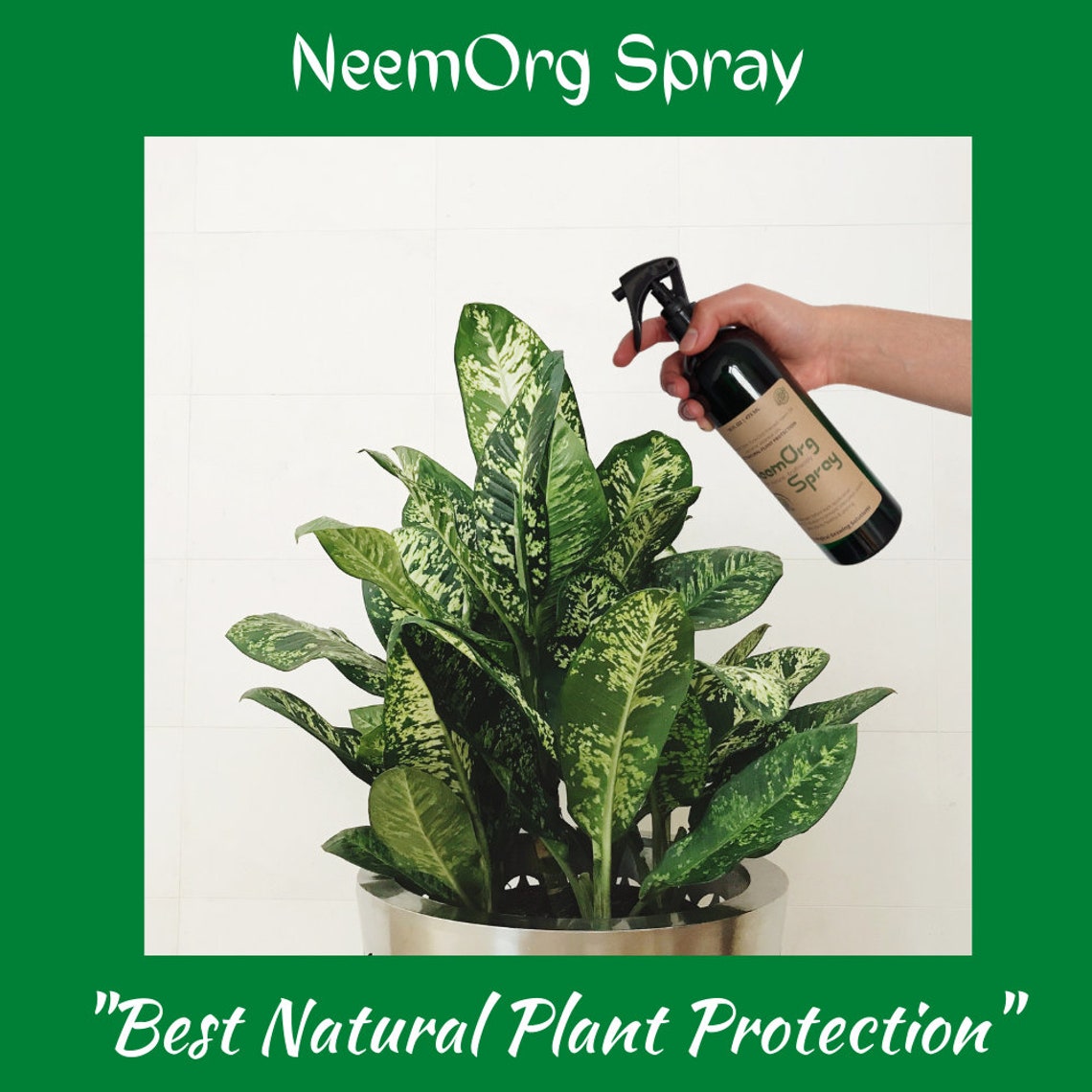 Neem Oil Spray 64 Oz Refill For House Plant Pests Aphids Etsy