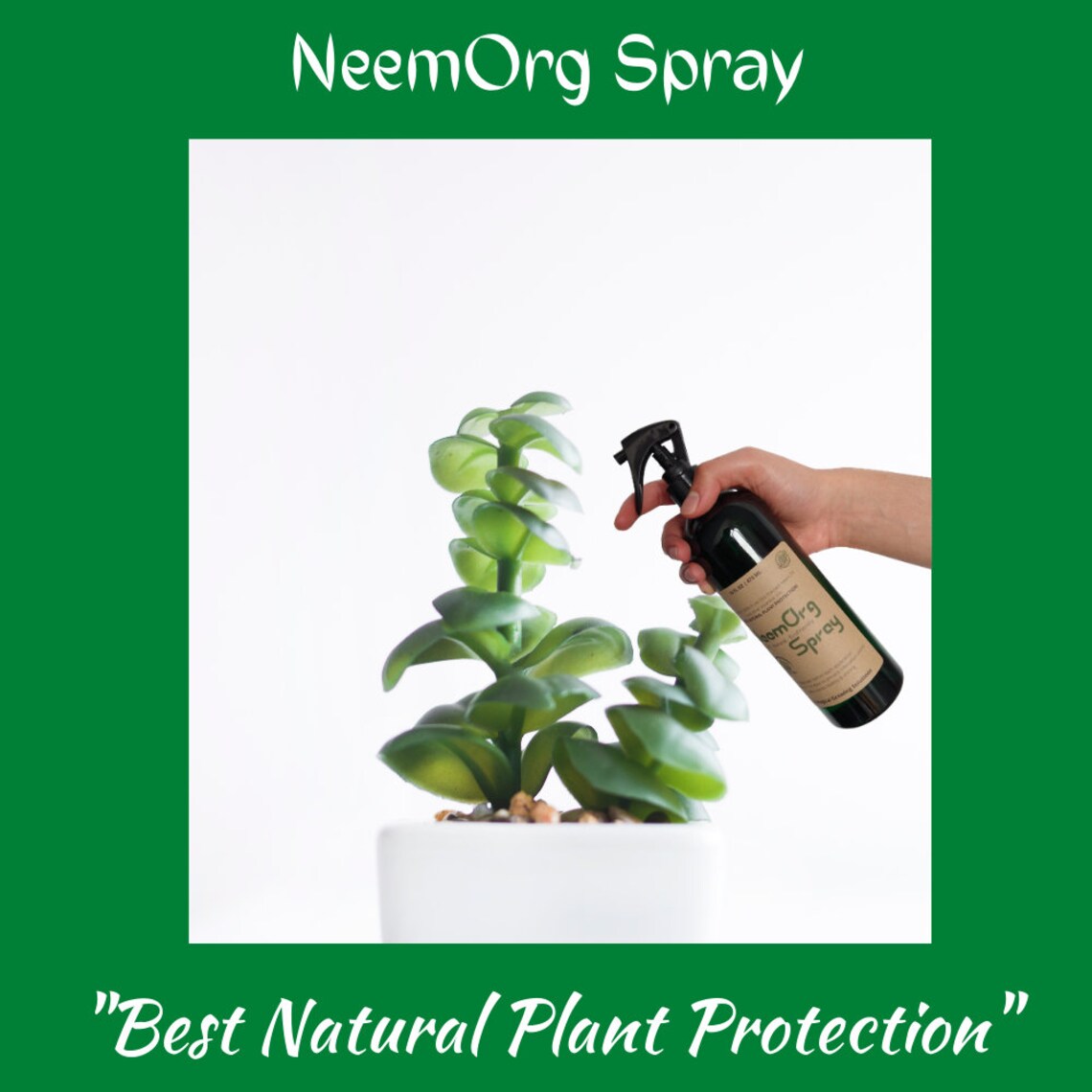 Neem Oil Spray 16 Oz 32 Oz Refill For House Plant Pests Etsy