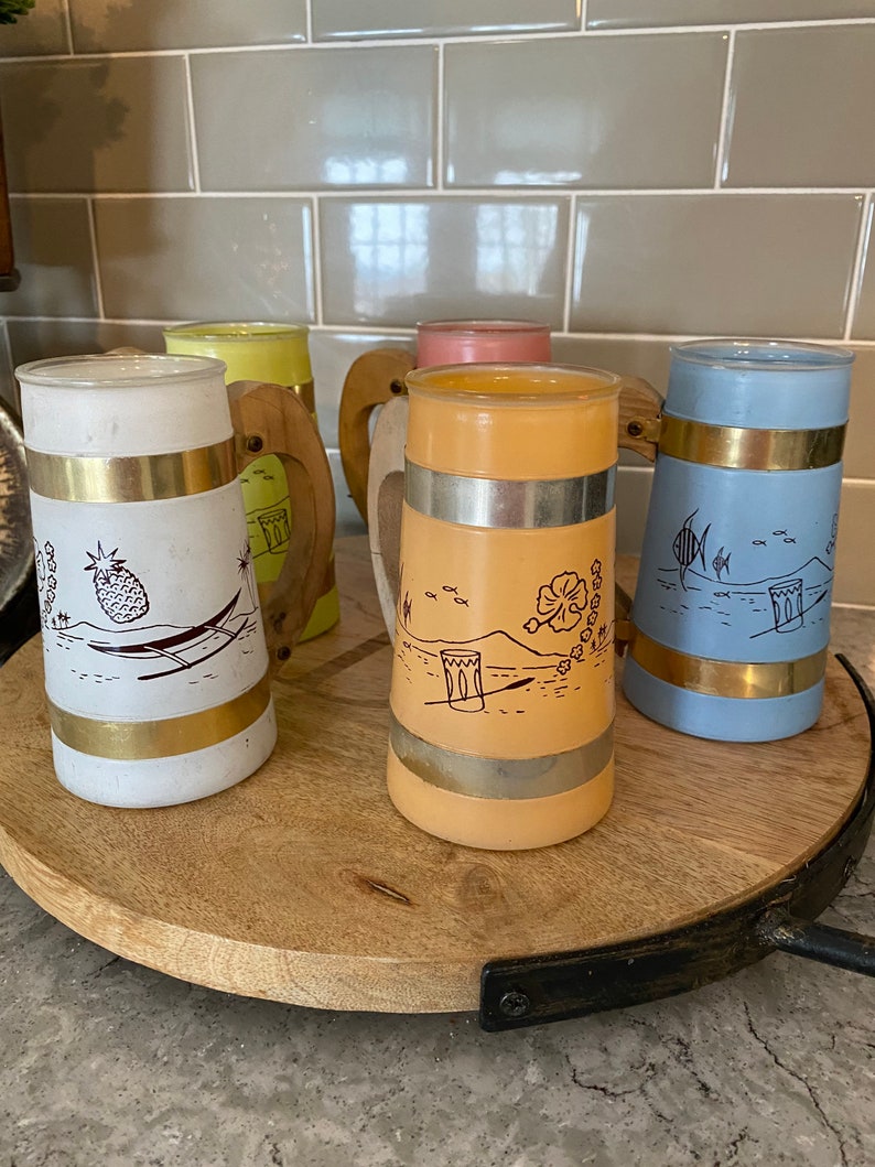 Siesta Ware Wooden Handle MugSet of 5Hawaiian ThemeFrosted Glass Mugs