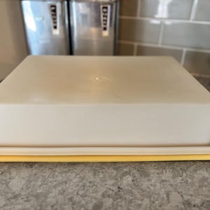 Vintage 1980s Tupperware Cake Keeper